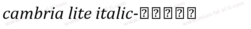 cambria lite italic字体转换